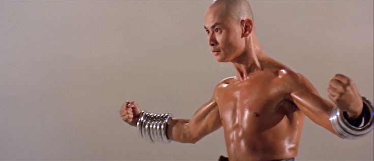 best kung fu fighter in the world