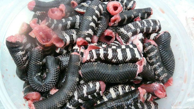 snake meat